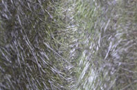 Burray Village fibreglass roof work