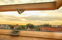 rated Burray Village roof window companies